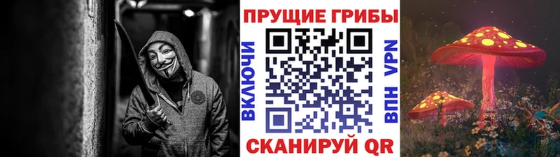 Галлюциногенные грибы GOLDEN TEACHER  Купино 