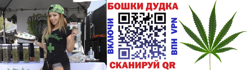 МАРИХУАНА план Купино